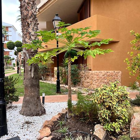 Punta Prima - Sun & Beach & Golf & Bike - Spanish South-Facing Terrace Apartment - La Recoleta - By The Sea Torrevieja Eksteriør billede