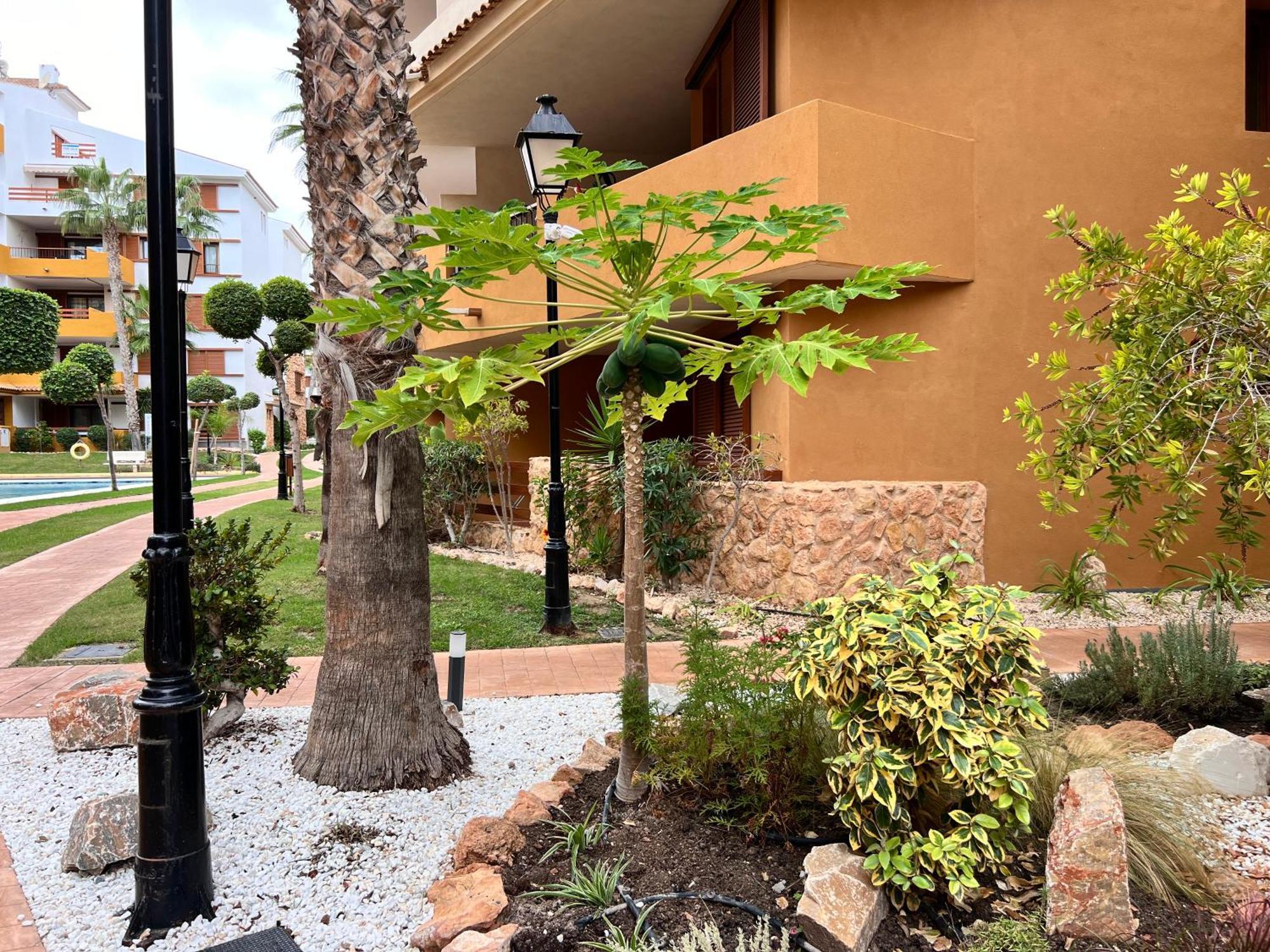 Punta Prima - Sun & Beach & Golf & Bike - Spanish South-Facing Terrace Apartment - La Recoleta - By The Sea Torrevieja Eksteriør billede